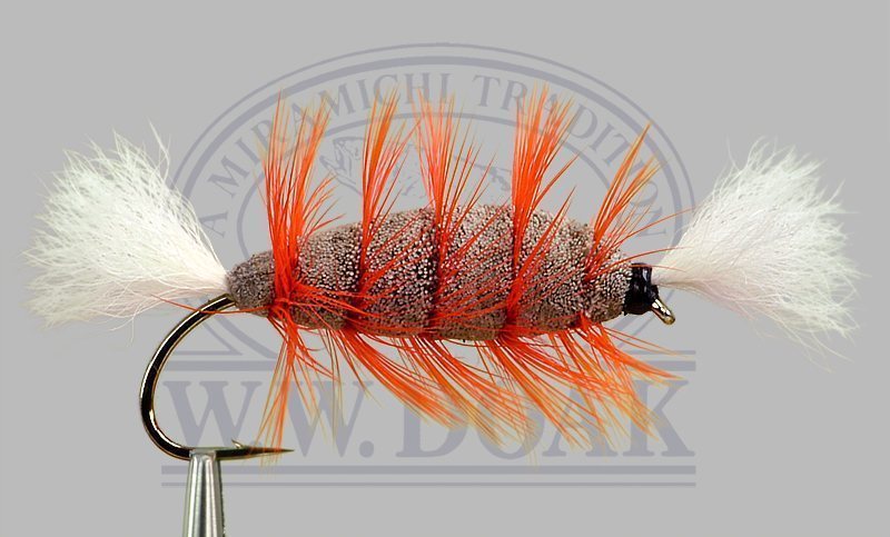 Brown Bomber - Orange Hackle - White Tail
