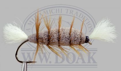 Brown Body<br>White Tail