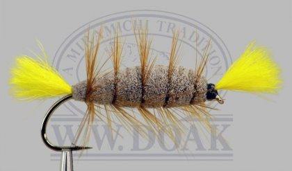 Brown Body<br>Yellow Tail
