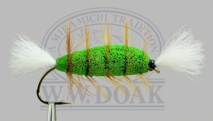 Green Body<br>Brown / White