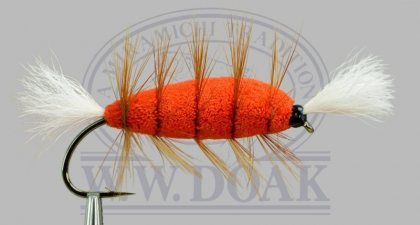 Orange Body<br>White Tails
