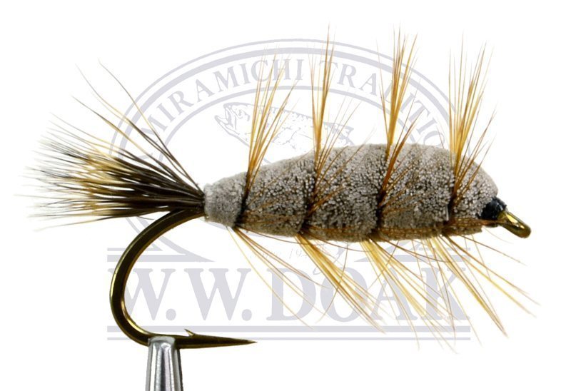 Brown Bug - Brown Tail - Single