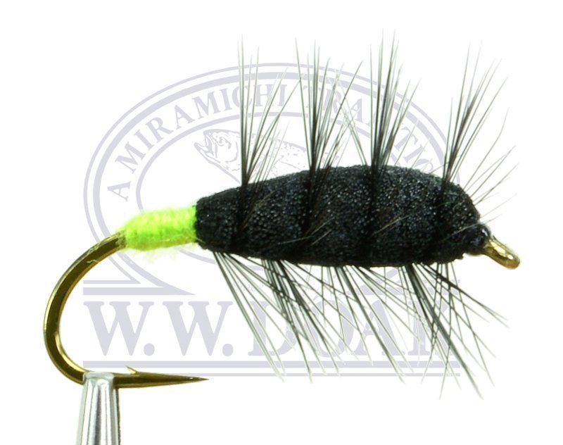 Black Buck Bug - Green Butt - Single