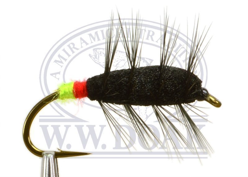 Black Buck Bug - Red / Green Butt - Single
