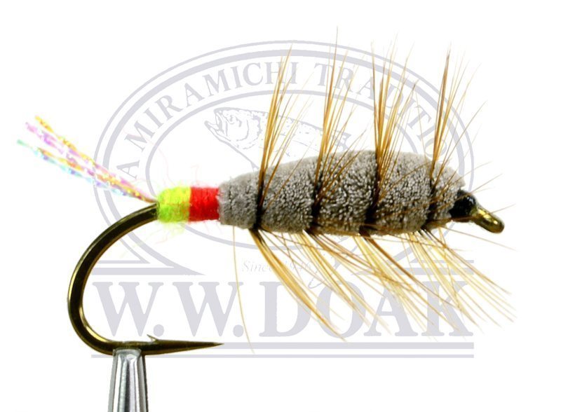 Glitter Bug - Brown - Green / Red Butt - Single