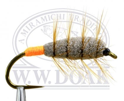 Brown Bug<br>Orange Butt