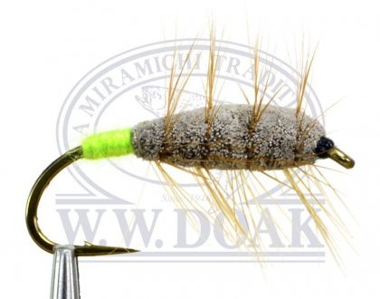 Brown Bug<br>Green Butt