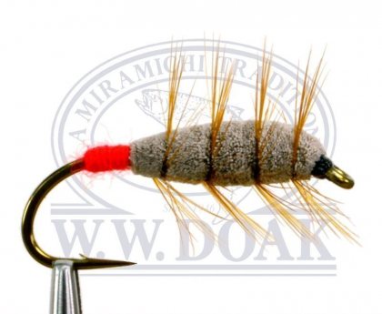 Brown Bug<br>Red Butt