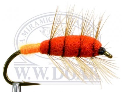 Orange Bug<br>Orange Butt
