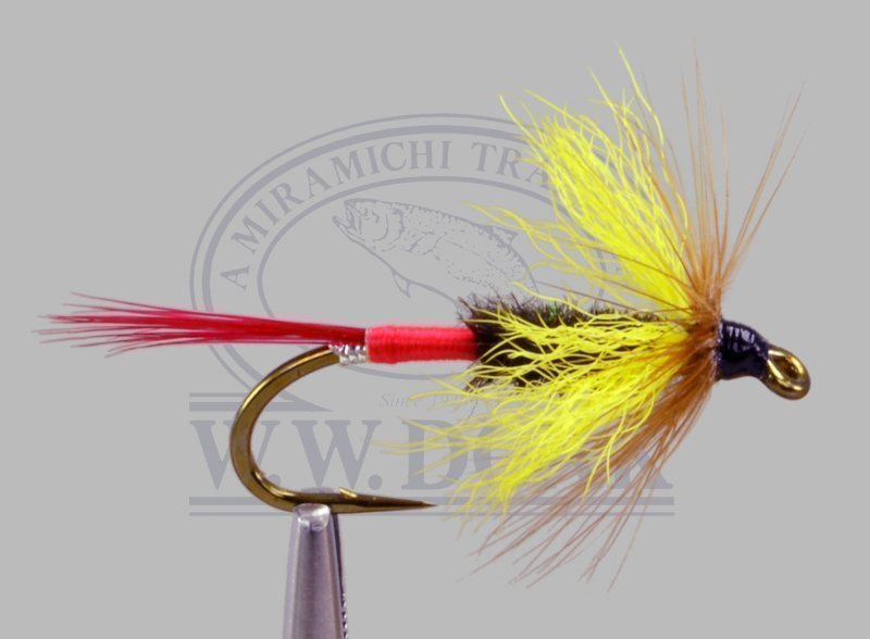 Butterfly - Yellow Wing - Red Butt - Single