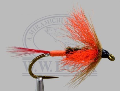 Orange Wing<br>Butterfly