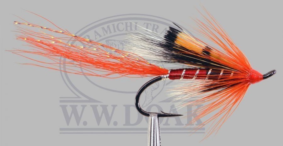 Ally's Shrimp - Double