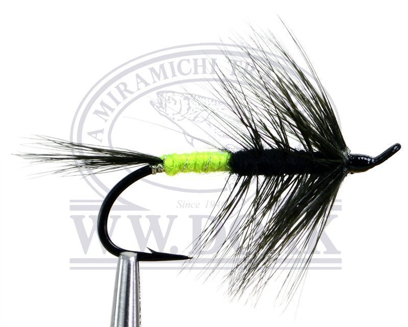 Shady Lady - Traditional - Double