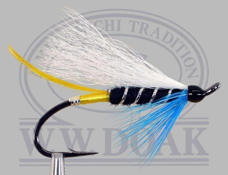 Blue Charm - White Wing - Double