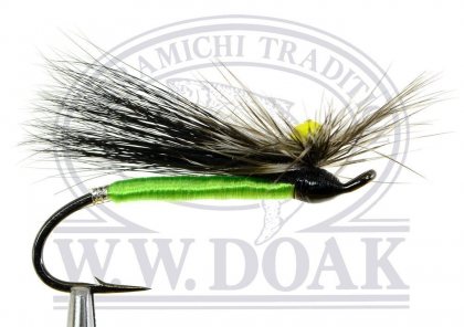 Black Stone Fly