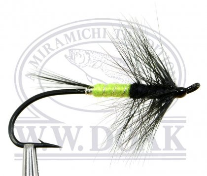 Shady Lady<br>Low Water