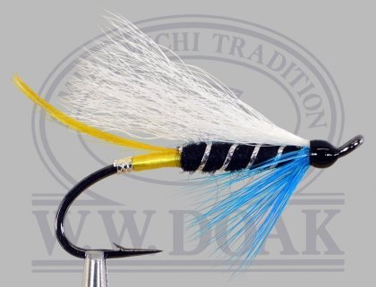 Blue Charm<br>White Wing