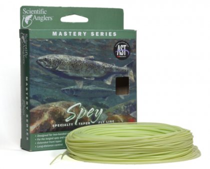 Mastery Spey