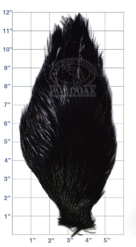 Chinese Cock Neck - Black