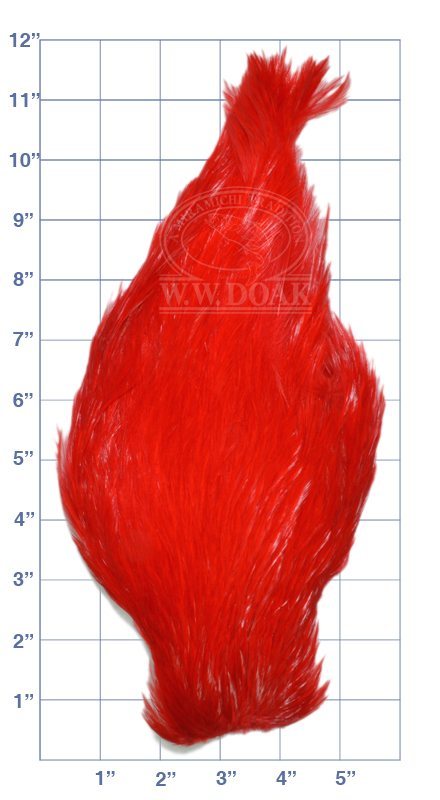 Chinese Cock Neck - Hot Orange