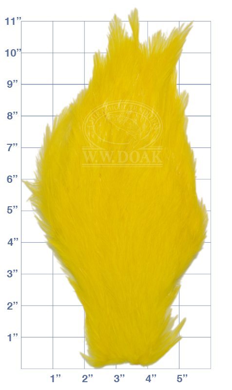Chinese Cock Neck - Yellow