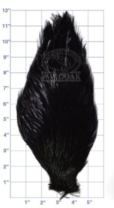 Chinese<br>Cock Neck