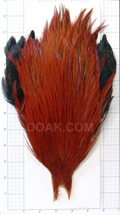Metz Cock Neck<br>Grade 3 - Brown