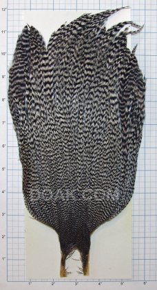 Metz Cock Neck<br>Grade 3 - Grizzly