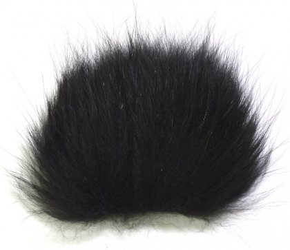 Arctic Fox<br>Black