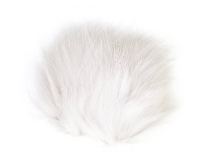 Arctic Fox<br>White