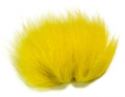Arctic Fox<br>Yellow