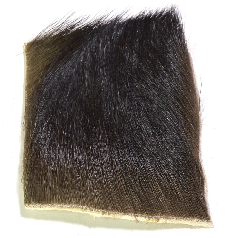 Moose Hair - Short