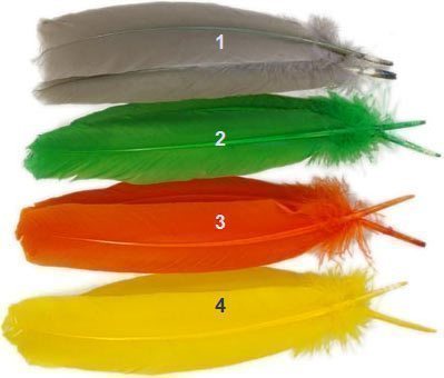 Dyed Turkey Wing Quills