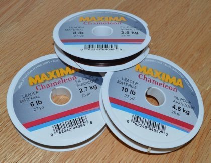Maxima Chameleon