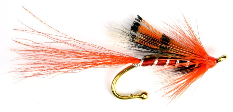 Ally's Shrimp Brooch Pin