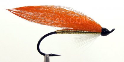 Elmer's Special