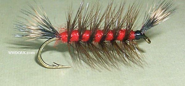 Whiskers - Red Body