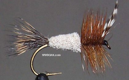 Ratface<br>MacDougall