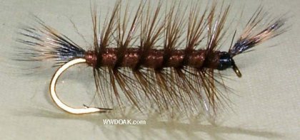 Brown Whiskers<br>Brown Hackle